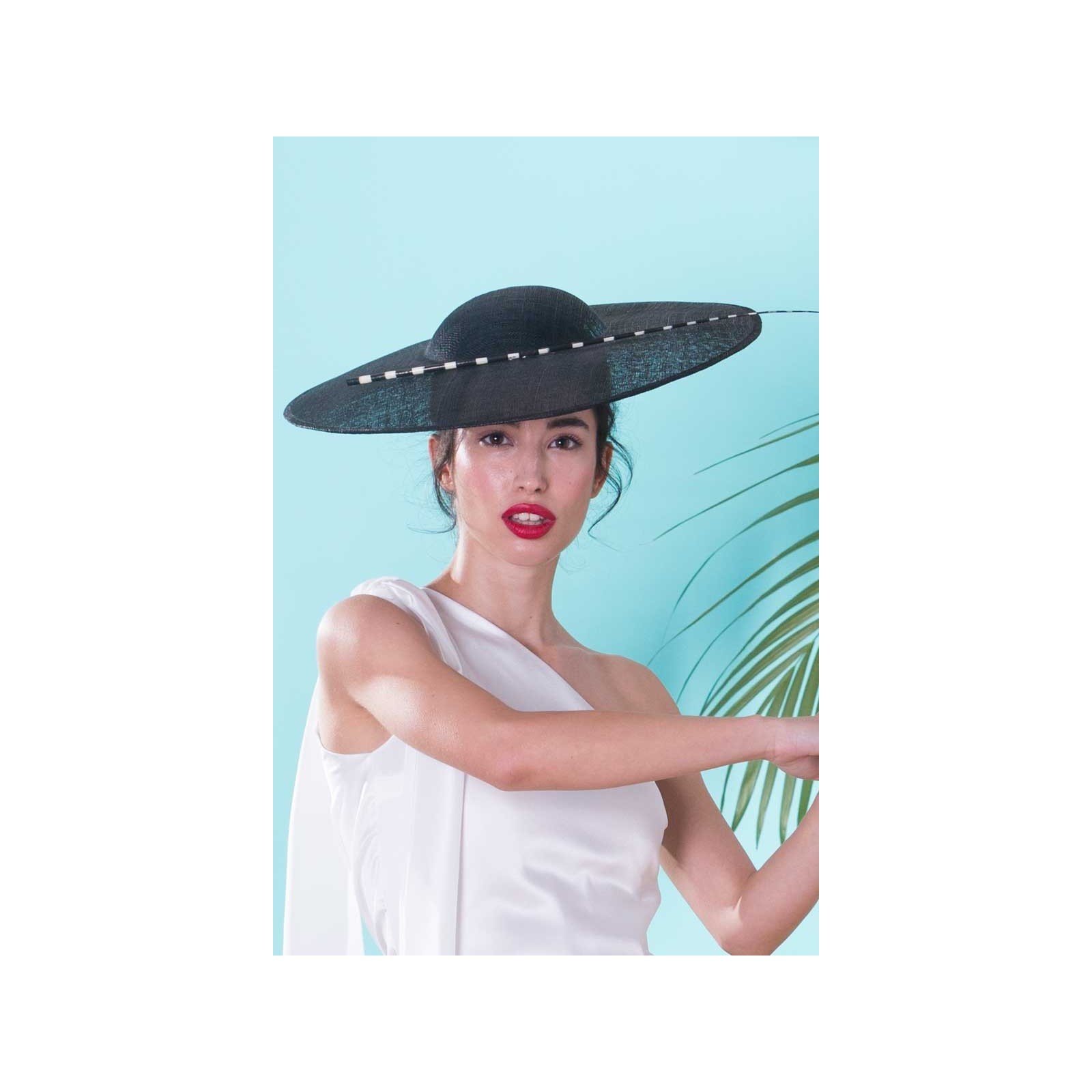 pamela negra con pluma rigida blanca y negra